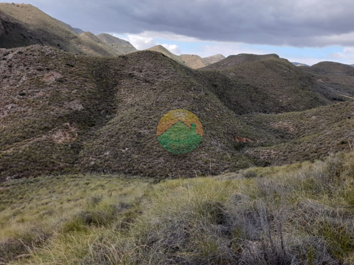 Image No.8-Finca for sale