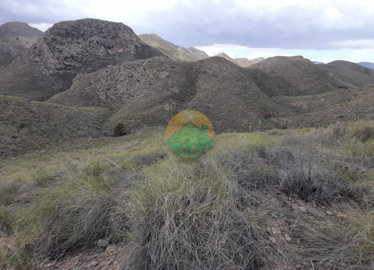 morplot-6824759acfc58