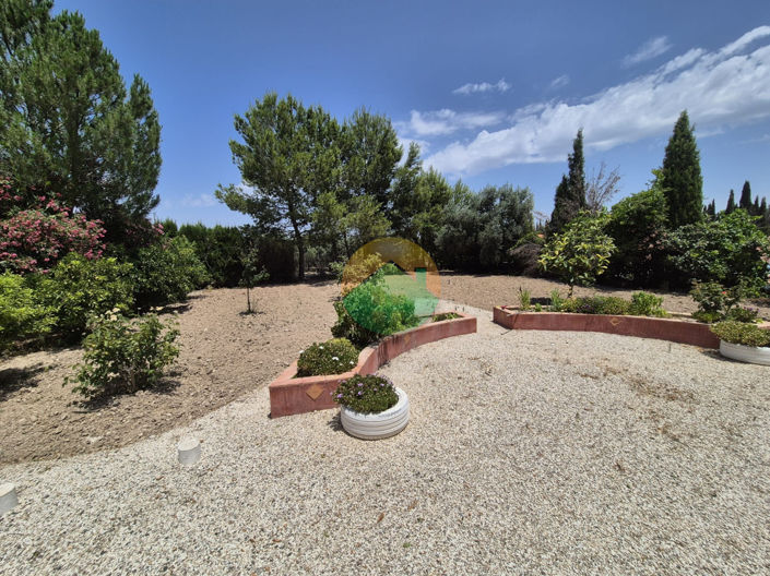 Image No.11-3 Bed Finca for sale