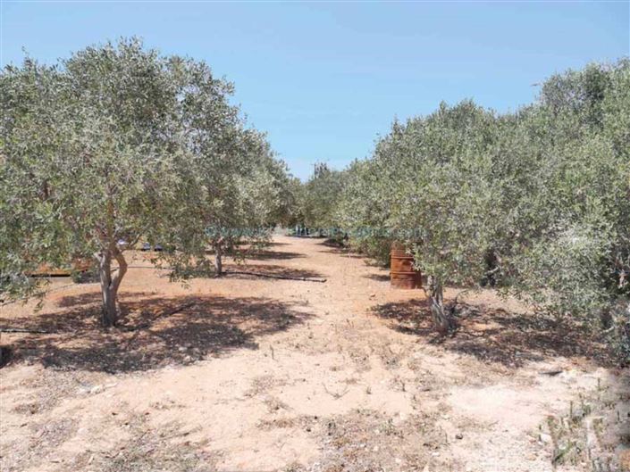 Image No.20-5 Bed Villa / Detached for sale