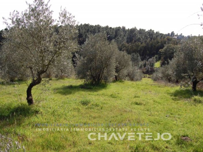 Image No.1-Plot for sale