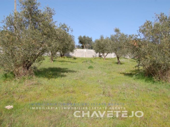 Image No.3-Plot for sale