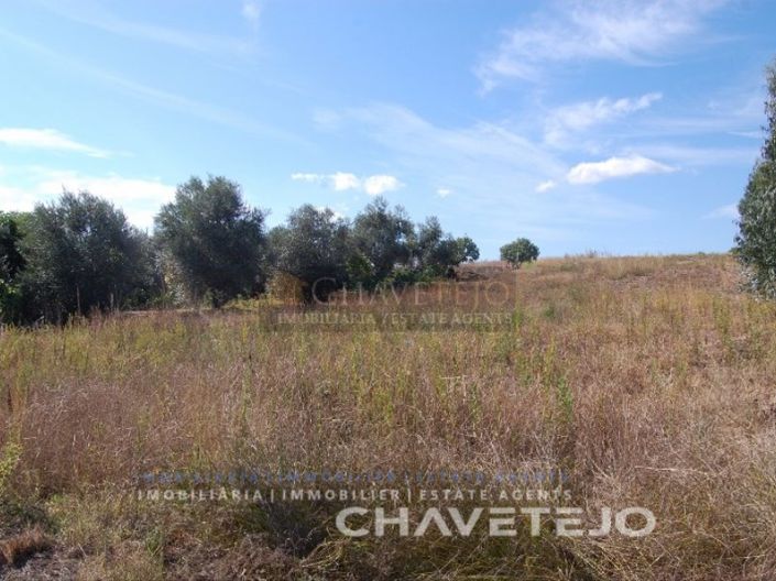 Image No.6-Plot for sale