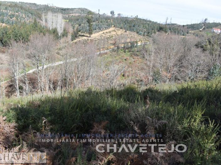 Image No.1-Plot for sale