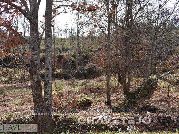 Image No.10-Plot for sale