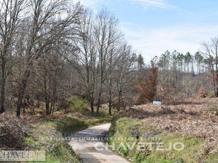 Image No.2-Plot for sale