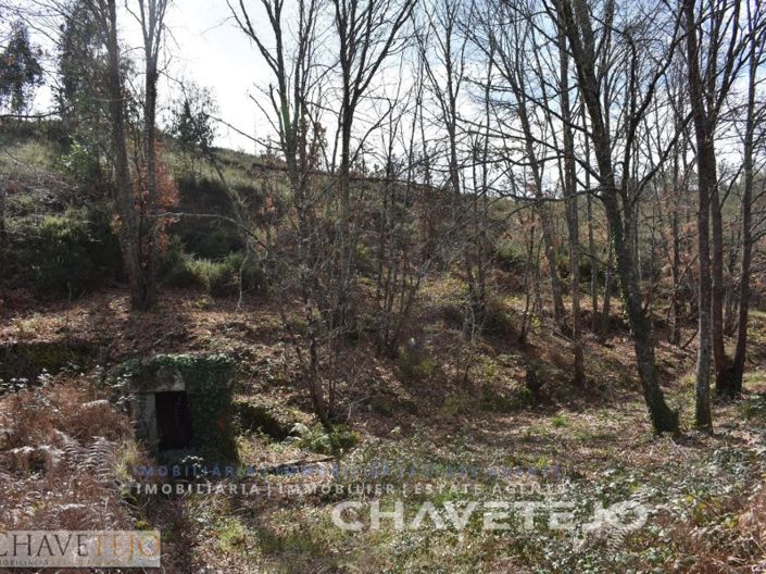 Image No.6-Plot for sale