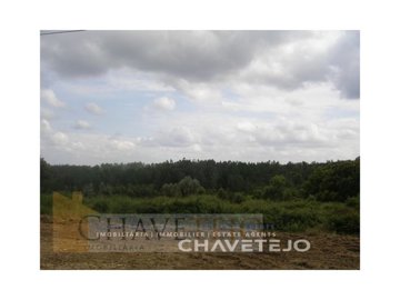 id5ced9c00-0000-0500-0000-00000cfa9fa7