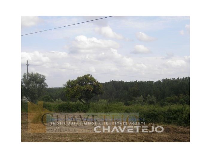 Image No.6-Plot for sale