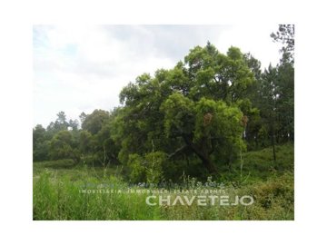 id5ced9c00-0000-0500-0000-0000055ba885