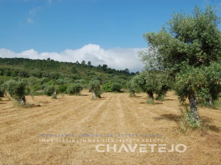 Image No.1-Plot for sale