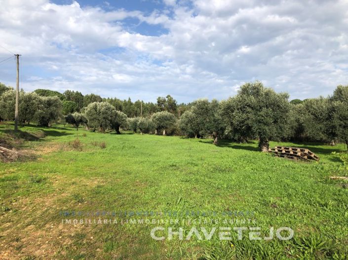 Image No.2-Plot for sale