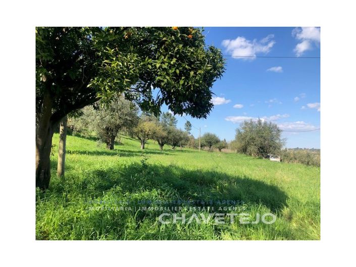 Image No.22-2 Bed House for sale