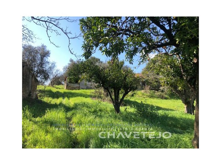 Image No.7-2 Bed House for sale