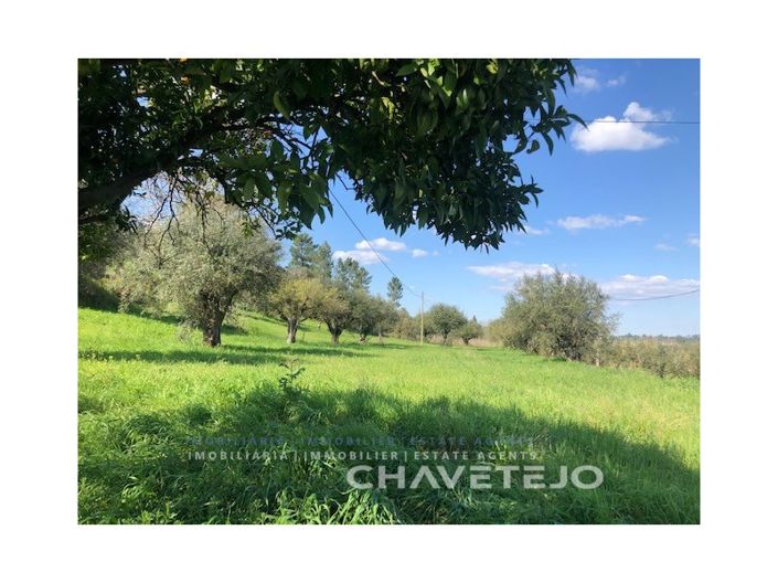 Image No.8-2 Bed House for sale