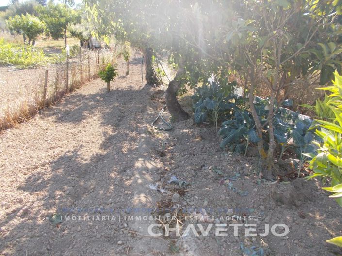 Image No.18-2 Bed House for sale