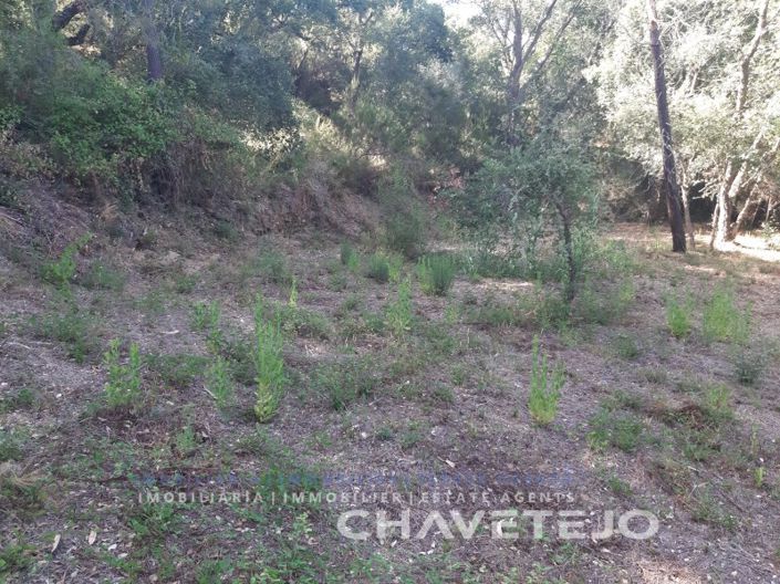 Image No.7-Plot for sale