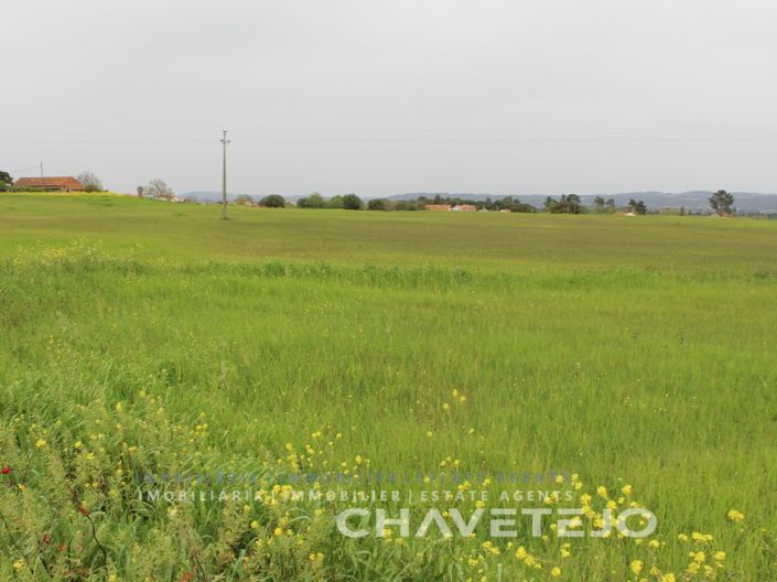 Image No.1-Plot for sale