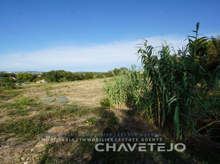 Image No.4-Plot for sale