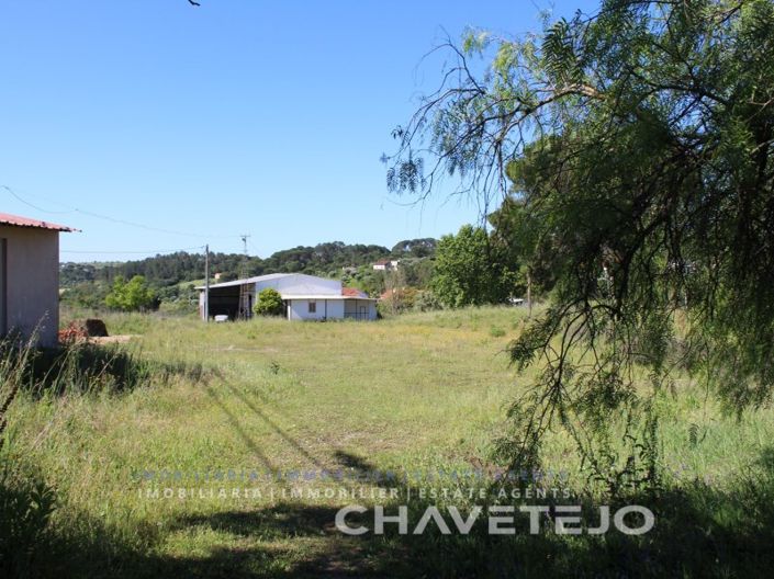 Image No.36-3 Bed Commercial for sale