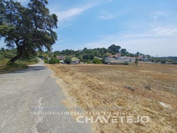 1 - Tomar, Plot