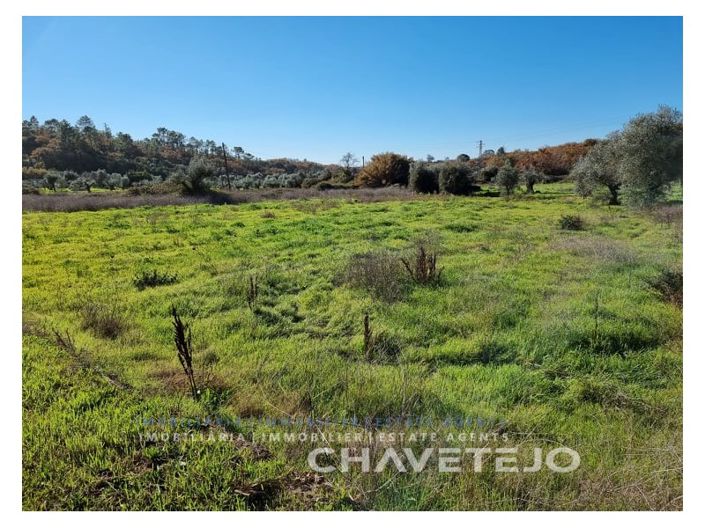 Image No.4-Plot for sale