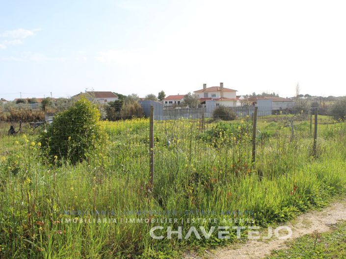 Image No.11-Plot for sale