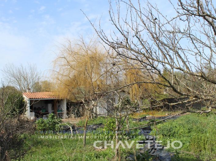 Image No.4-Plot for sale