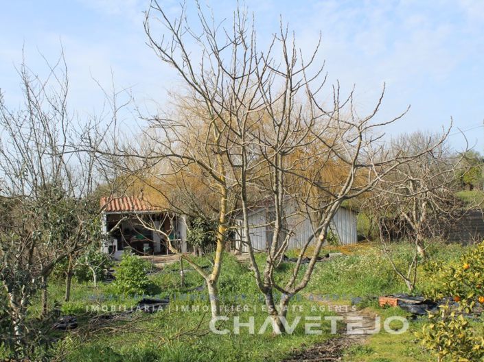 Image No.5-Plot for sale