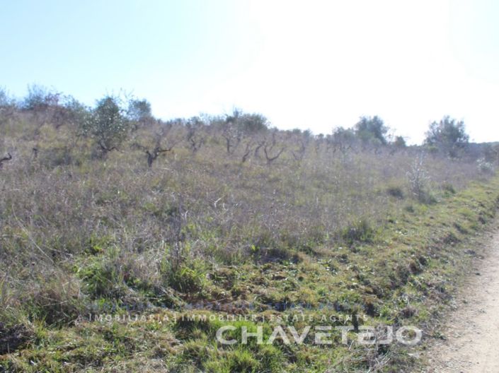 Image No.4-Plot for sale