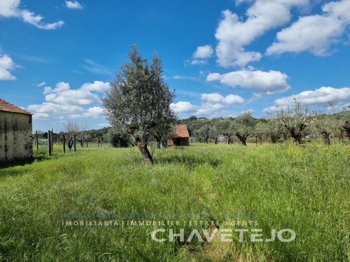 Image No.14-1 Bed House for sale