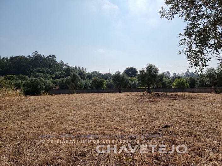 Image No.3-Plot for sale