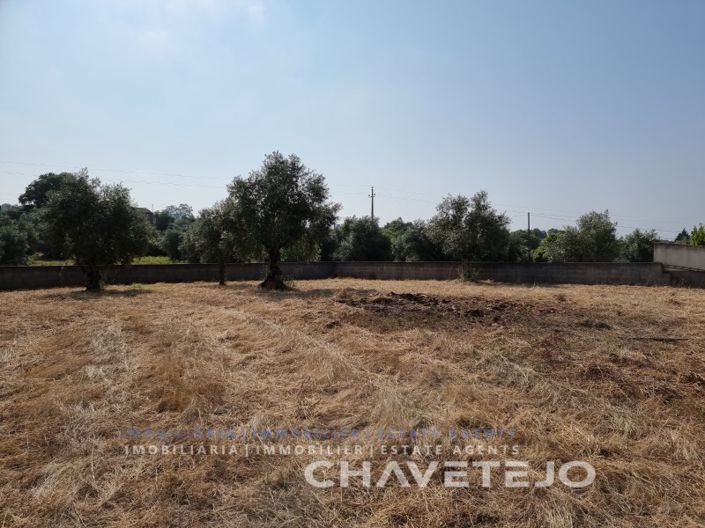 Image No.5-Plot for sale