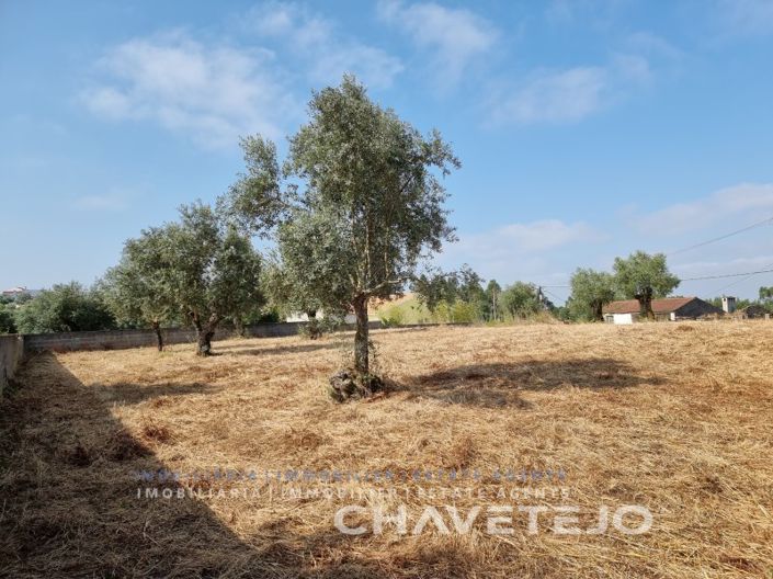 Image No.7-Plot for sale