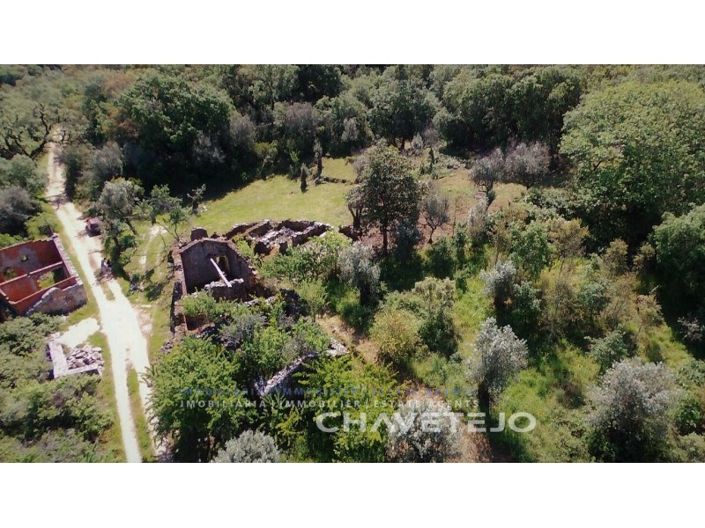 Image No.7-Farmhouse for sale