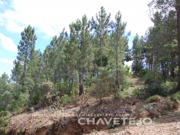 Image No.1-Plot for sale