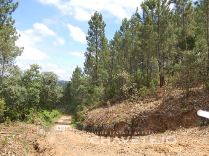 Image No.2-Plot for sale