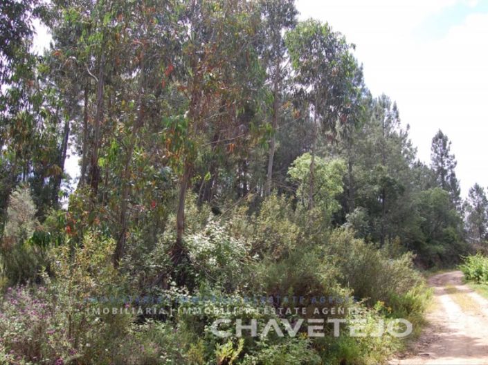 Image No.3-Plot for sale