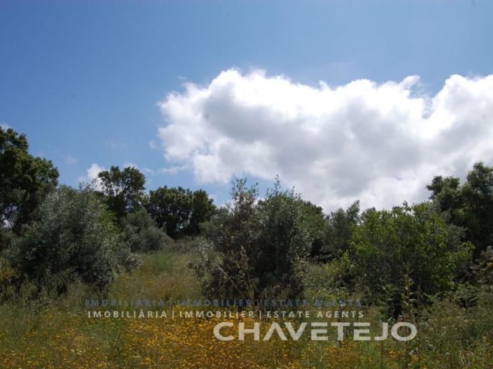 Image No.1-Plot for sale