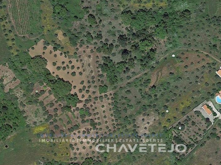 Image No.3-Plot for sale