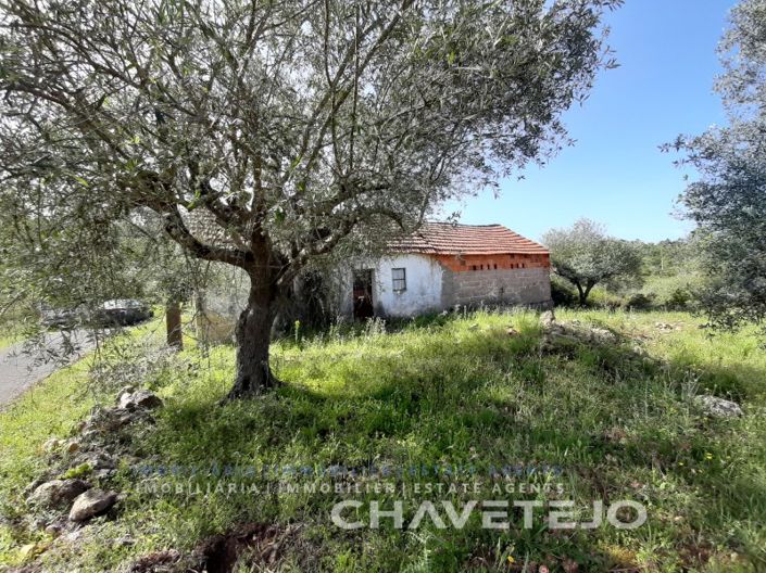 Image No.17-3 Bed House for sale