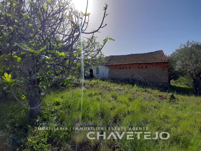 Image No.18-3 Bed House for sale