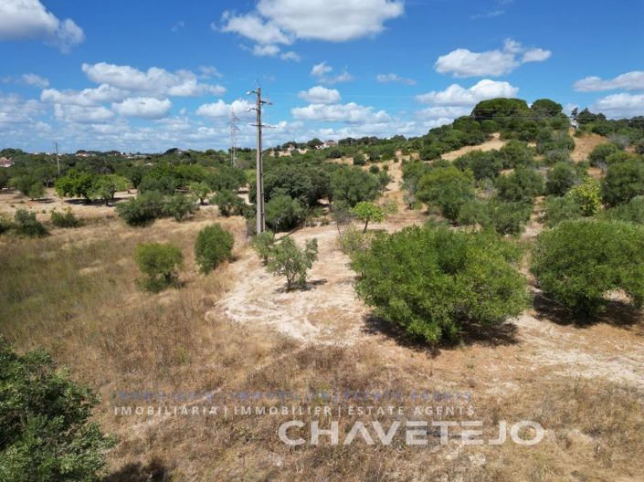 Image No.19-2 Bed House for sale