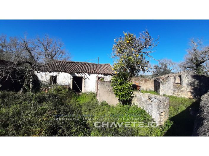 Image No.14-4 Bed House for sale