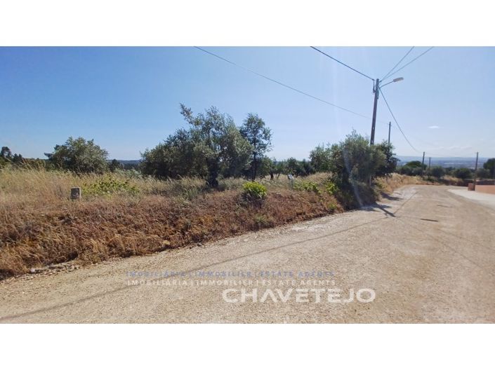 Image No.2-Plot for sale