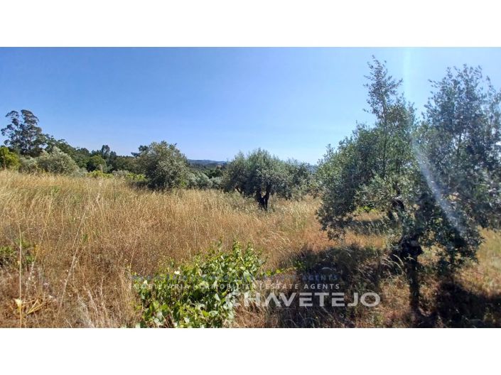 Image No.3-Plot for sale