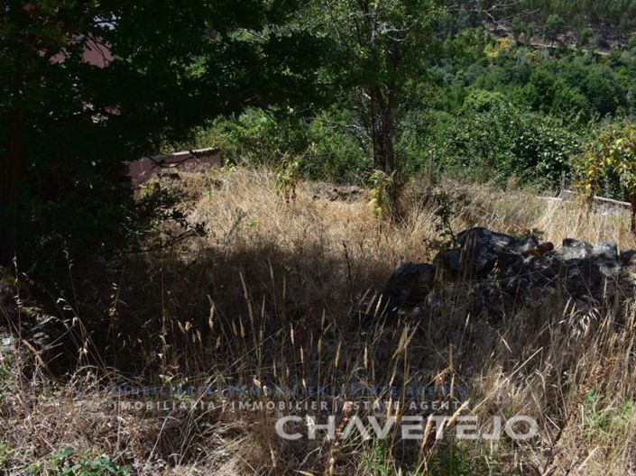 Image No.3-Plot for sale