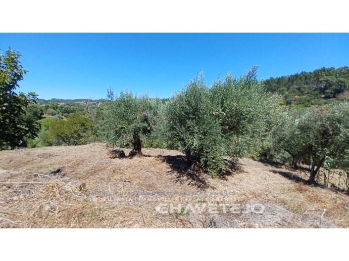 Image No.10-3 Bed House for sale