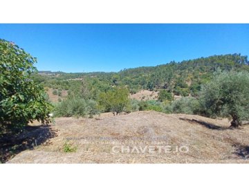 id67a87001-0000-0500-0000-000011d81092