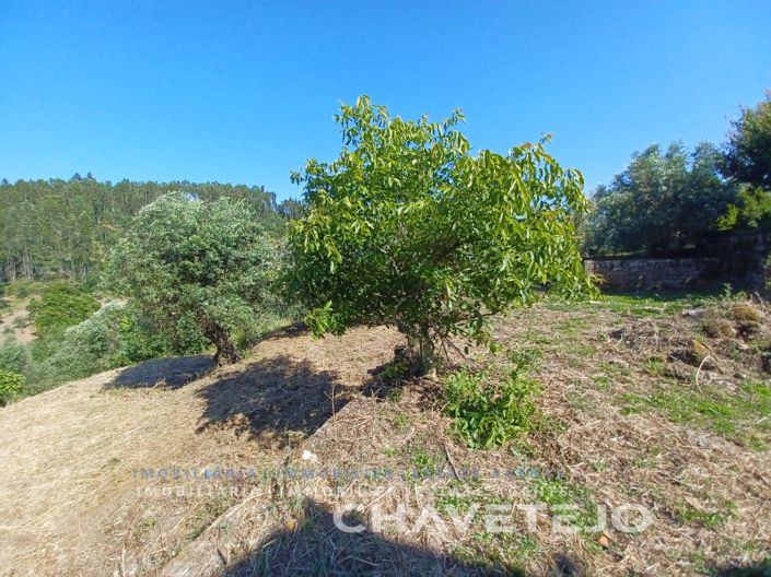 Image No.49-3 Bed House for sale